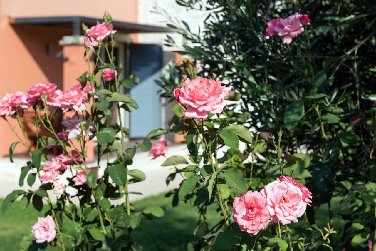 Girasole Villa Limni  Zewnętrze zdjęcie